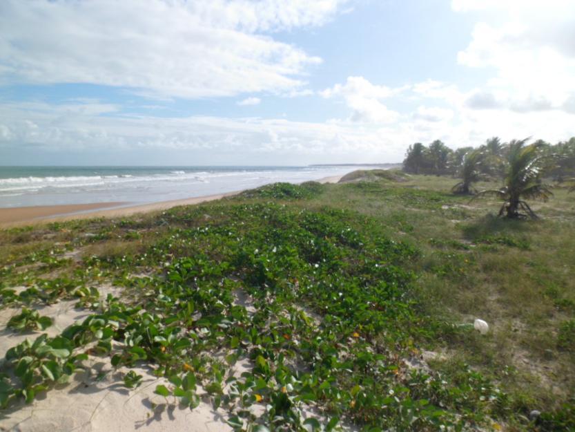 terrenos nas mais belas praias do Brasil em Coruripe-AL.