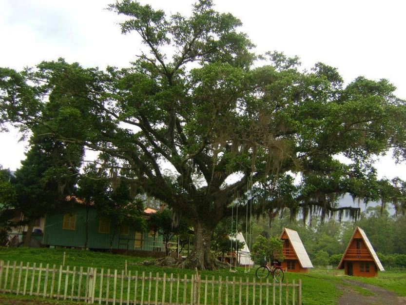 Pousada Nostro Bepe: Cabanas para aluguel em Maquiné