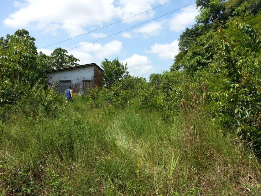 Terreno na vila do cupuaçu