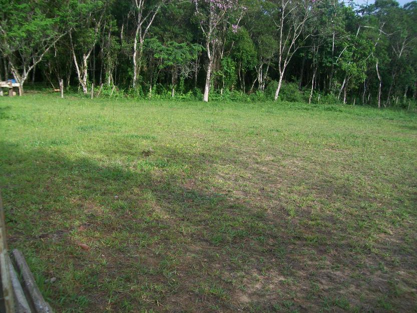 Linda chacara bem localizado pronto para construir.