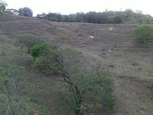 Fazendinha 18 hectares em São Jose da Lapa/MG