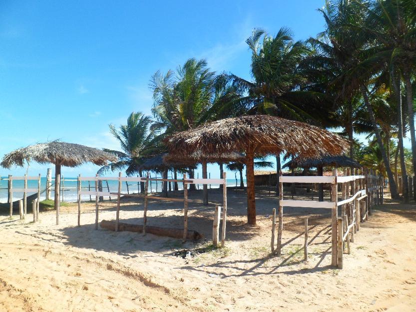 terrenos e lotes nas mais belas praias do Brasil em Coruripe-AL.