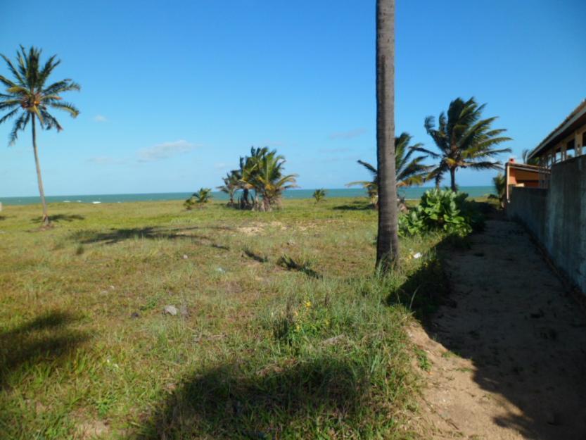 terrenos e lotes nas mais belas praias em Coruripe-AL.