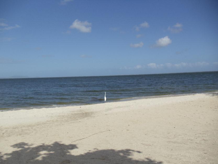 Bom bonito e barato, excelente apto. 2 quartos na beira da praia