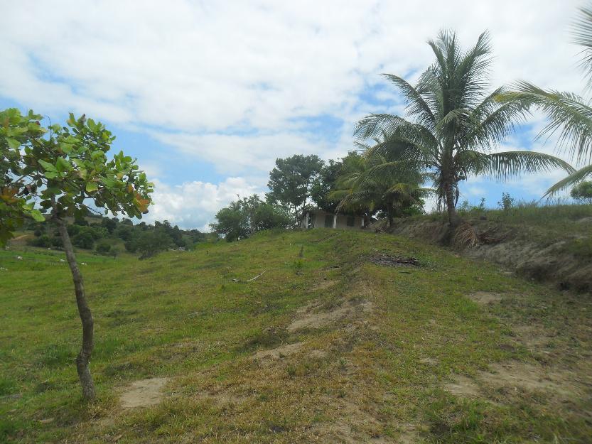 sitio a 10km da cidade de maragojipe