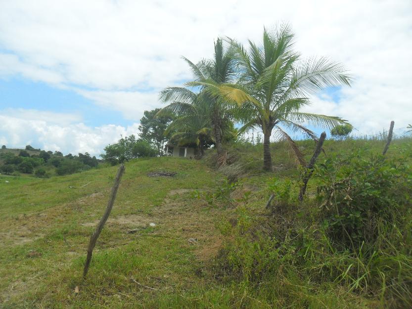 sitio a 10km da cidade de maragojipe