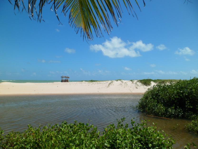 Terrenos e lotes nas mais belas praias de Coruripe-AL.