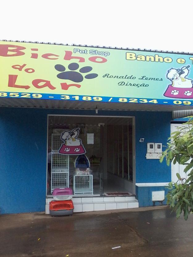 Pet shop em itapaci