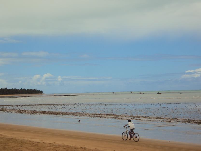Terreno beira mar na praia de Japaratinga