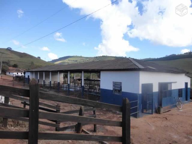 Fazenda de café e leite no Sul de Minas - MG