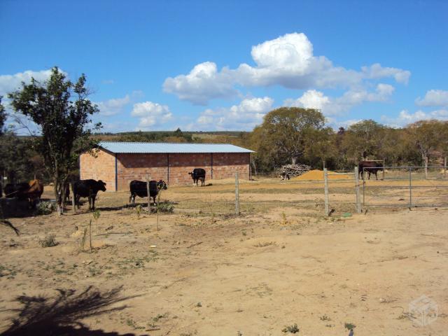 Fazenda Sambaíba Pompéu - MG