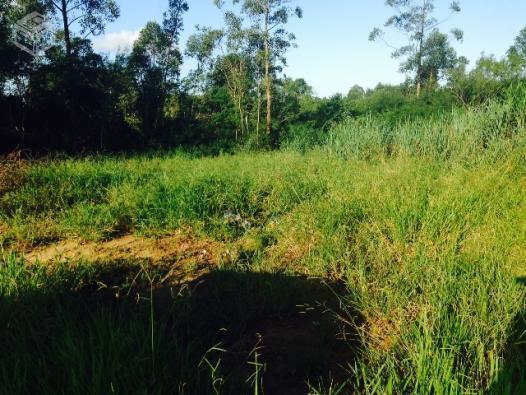 Terreno na Santa Líbera - Forquilhinha