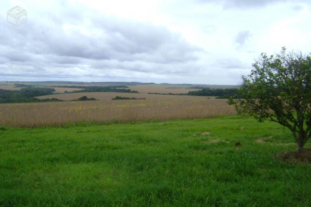 Fazenda em Taquarivaí-SP 208 alqueires