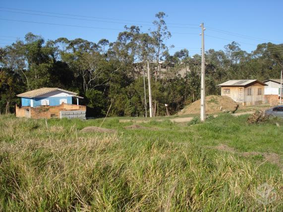 Terreno Loteamento Gentile - Rio Maina