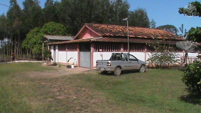 Fazenda com 600 ha Na BR 010 (Belem-Brasilia)