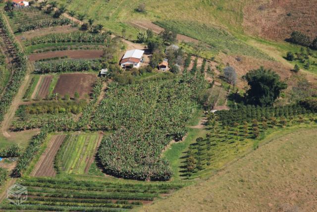 Sitio em Lorena com Agroindustria Prod. Orgânicos