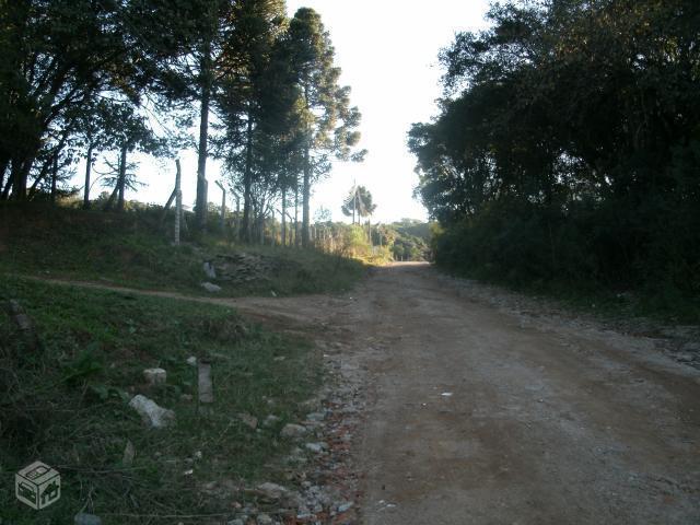 Chácara 3.000 m casa 3 Dormitórios no Ganchinho