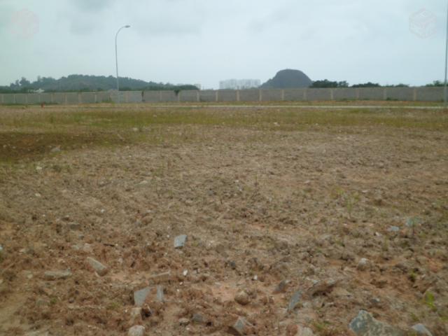 Grandes Terrenos em Campo Grande