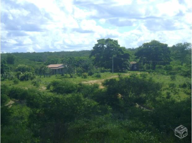 Fazenda 170 hectare, Município de Cândido Sales-BA