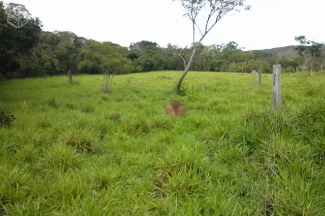 Chácara no rio dos bois