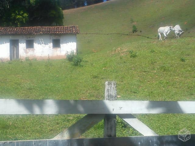 Sitio em teixeiras mg 3 alqueires prox viçosa mg