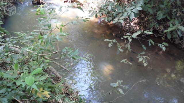 Chácara em Itauçu saída para Inhumas 60km de Gyn