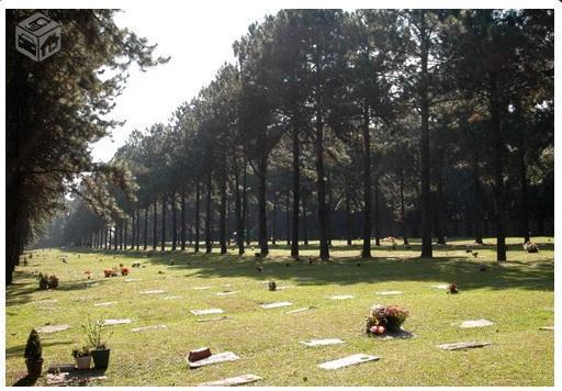 Jazigo Jardim da Colina São Bernardo do Campo 4 Ga