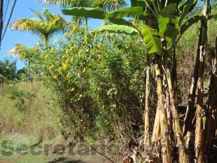 Lindo terreno com facílimo acesso em Itaipava