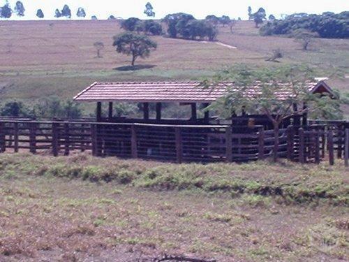 Fazenda em Cajurú/SP