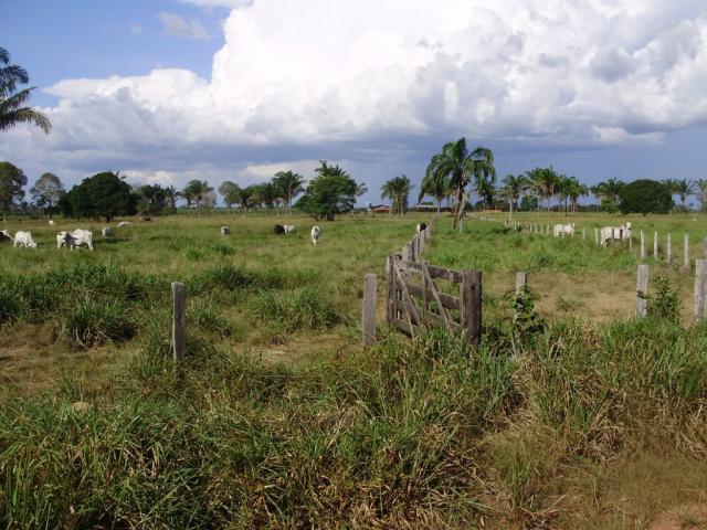 Fazenda em Araguaína, Tocantins, Dupla Aptidão