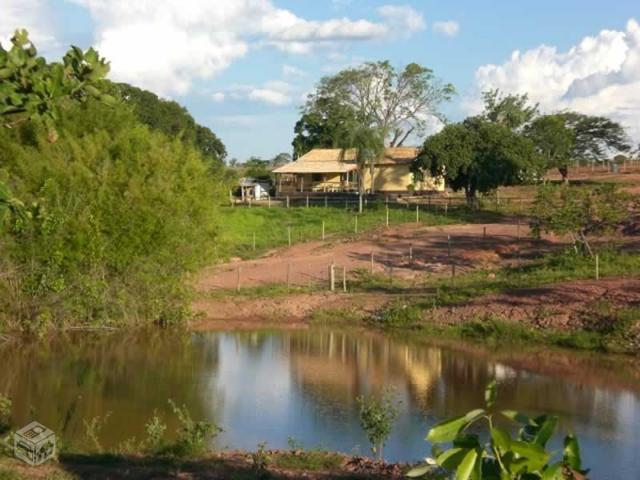 Fazenda em João Pinheiro - MG - 1.250 hectares