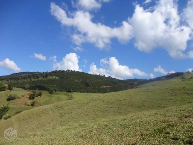Fazenda de gado no Sul de Minas - MG -163 hectares
