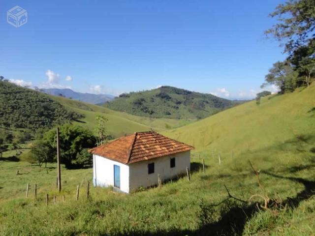 Fazenda de gado no Sul de Minas - MG -163 hectares