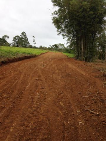 Lotes em Taiacupeba