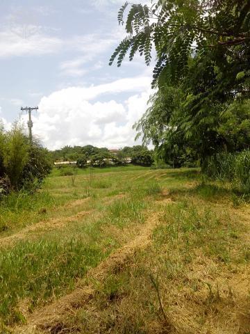 Salão Termas de Ibirá/Beira rodovia/lado Balneário