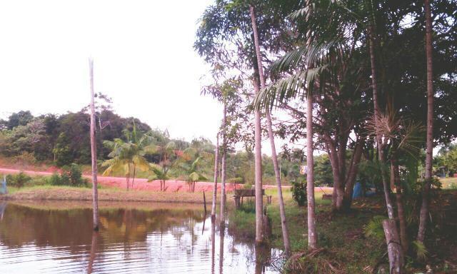 Vendo ou troco por casa em manaus! sítio em _castanho br 319.