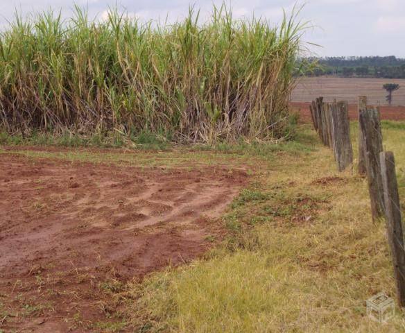 Chácara de 4.000m² na Região de São Jorge do Ivaí