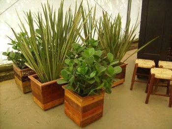 Adquira Apto Garden e viva feliz com suas plantas 3 dorm com suíte, sacada, área social