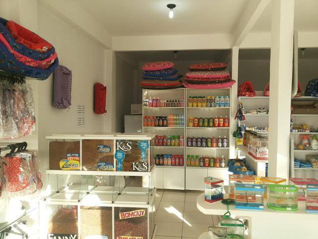 Pet shop com banho e tosa