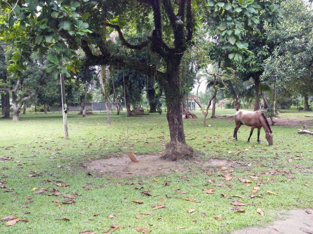 Sitio em Caxias