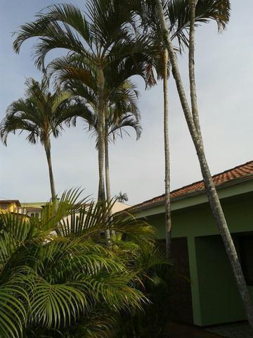 Casa na praia pra curtir a vida!