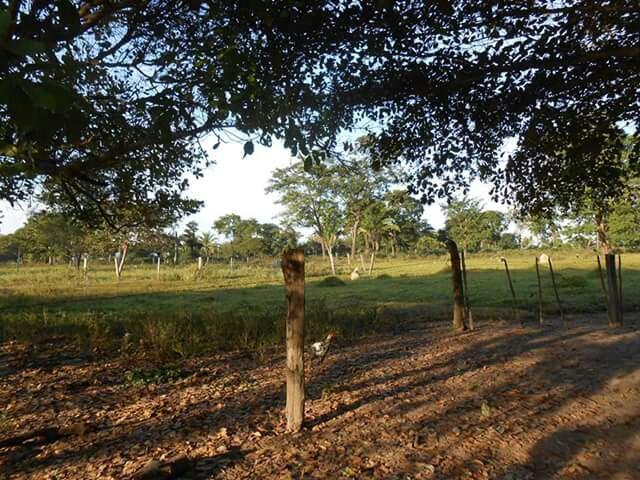 Fazendinha no Mato Grosso 45 alqueires