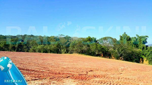 Terrenos de 1000m² - investimento, segurança e lazer