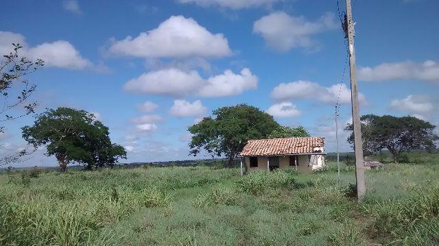 Vendo um Imóvel rural no Pov Riachão-NSAparecida/SE