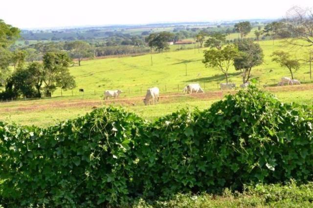 Sitio a beira da rodovia Euclides da cunha excelente entre st fé e