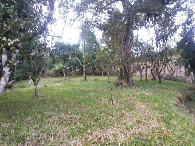 Sitio em Bocaiuva do Sul,242.000 m2