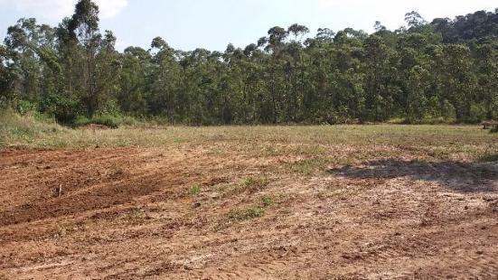 Boa tarde, terrenos planos de 1000m² em