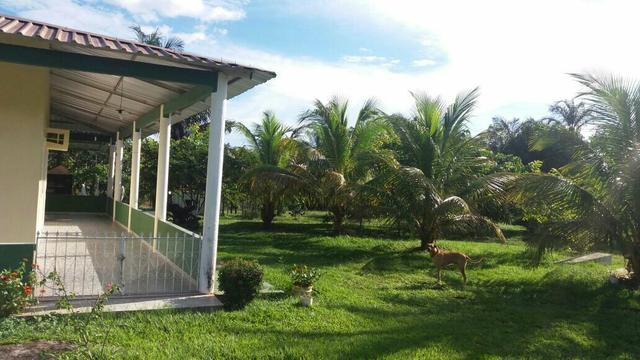 Financia Lindo Sítio com casa e viveiro, med. 18.500m2/entrada da Cidade Universitária