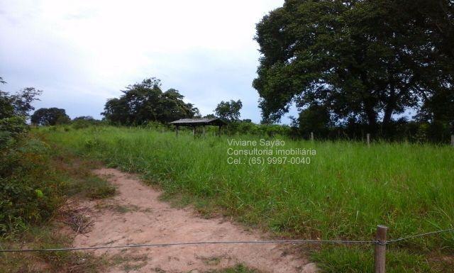 £Fazenda 660 HA toda formada- Perto de Jangada