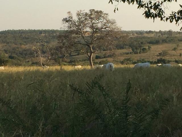 Fazenda Formada 460 Hectares 30km de